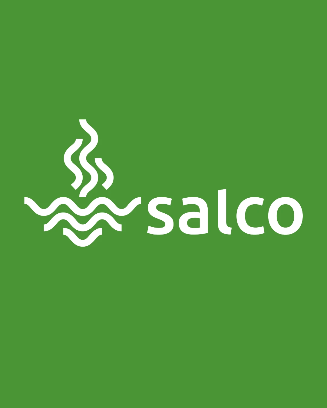 Logo Salco na zielonym tle, zaprojektowane przez Voit Studio